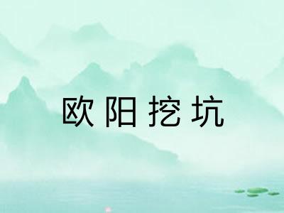 欧阳挖坑