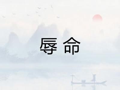 辱命