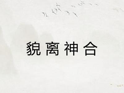 貌离神合