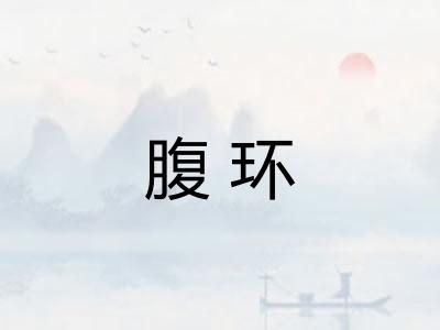 腹环