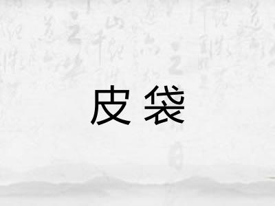 皮袋