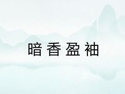 暗香盈袖