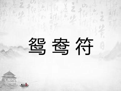 鸳鸯符