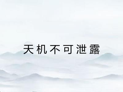 天机不可泄露