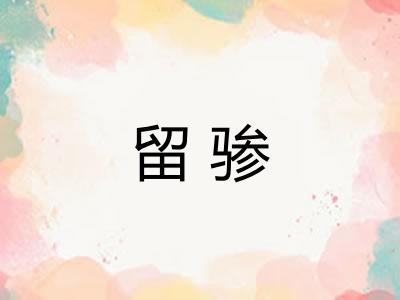 留骖