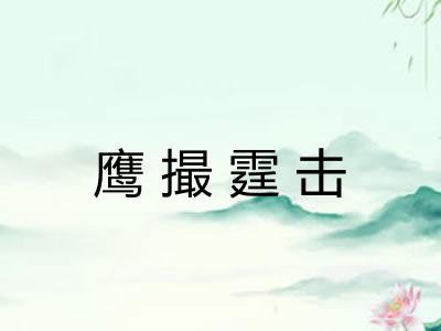 鹰撮霆击