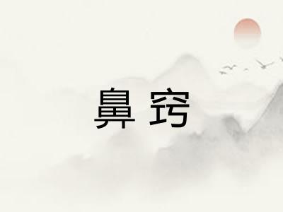 鼻窍