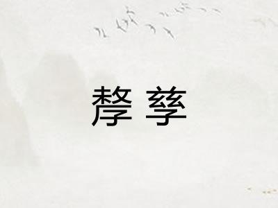 孷孳