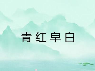 青红皁白