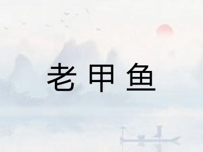老甲鱼