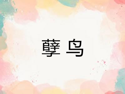 孽鸟