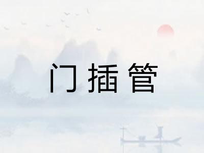 门插管