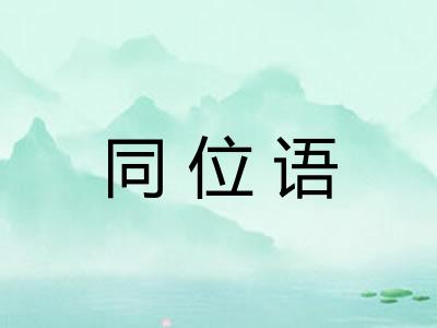 同位语