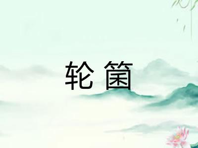 轮箘