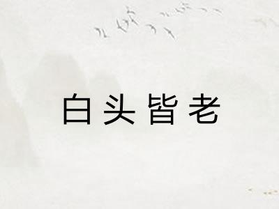 白头皆老