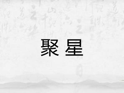 聚星