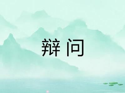 辩问