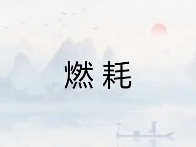 燃耗