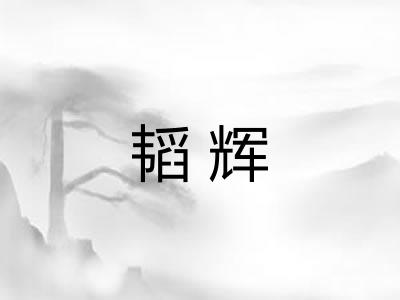 韬辉