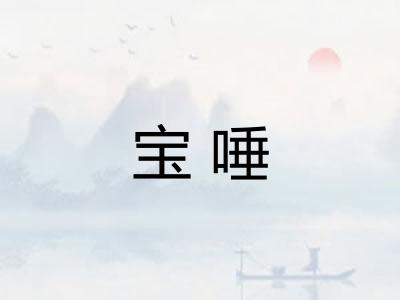 宝唾