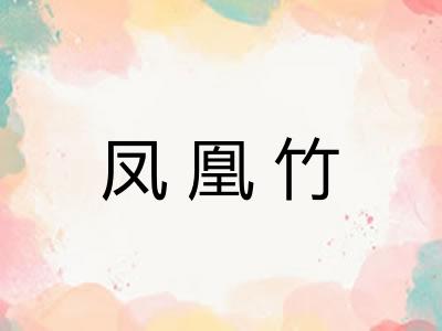 凤凰竹