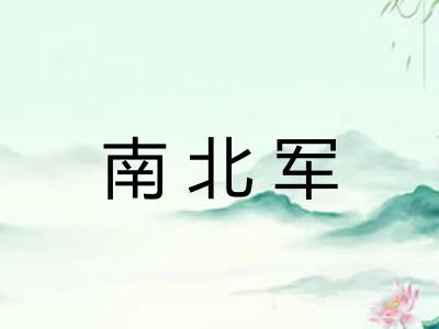 南北军