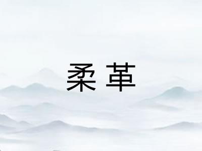 柔革