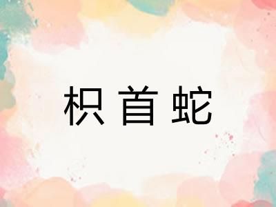 枳首蛇