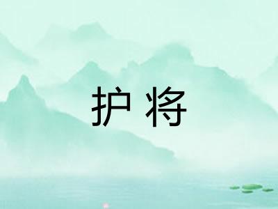 护将