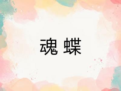 魂蝶