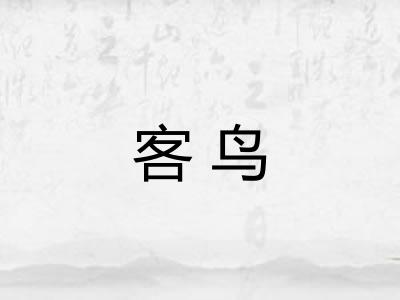 客鸟