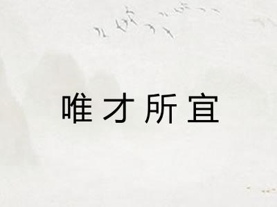 唯才所宜