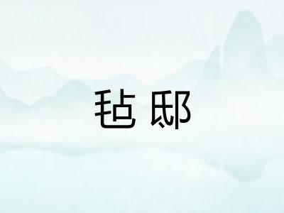 毡邸
