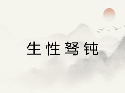 生性驽钝