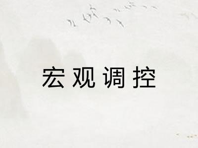 宏观调控