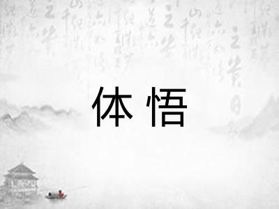 体悟
