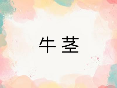 牛茎
