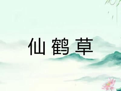 仙鹤草
