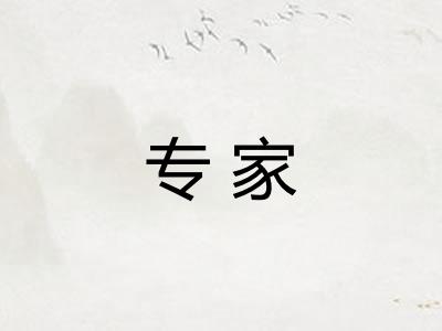 专家