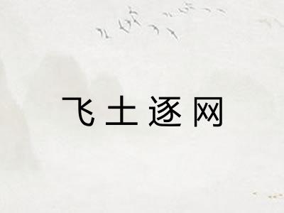 飞土逐网
