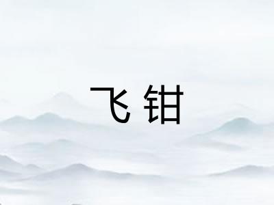 飞钳