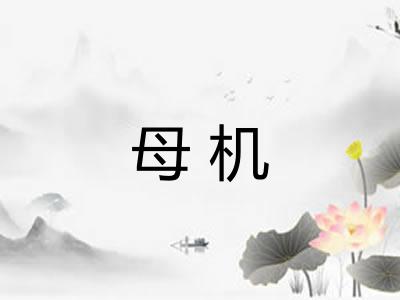 母机