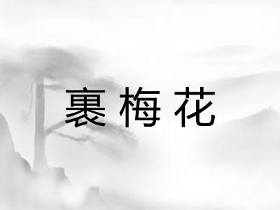 裹梅花