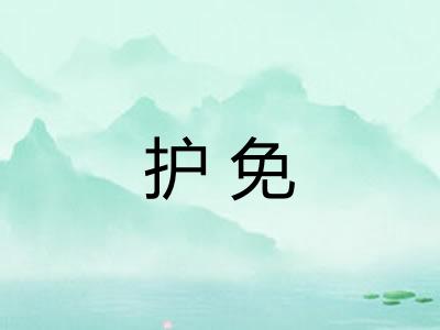 护免