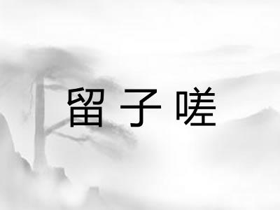 留子嗟