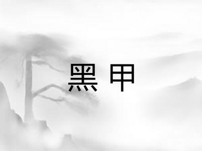 黑甲