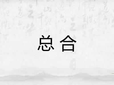 总合