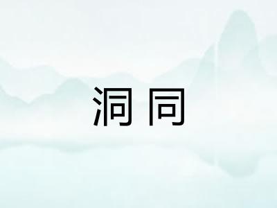 洞同