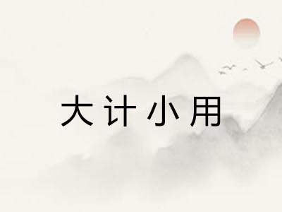 大计小用