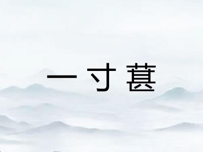 一寸葚